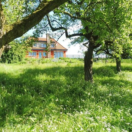 Kleine Villa Im Wilden Garten Gummersbach Extérieur photo