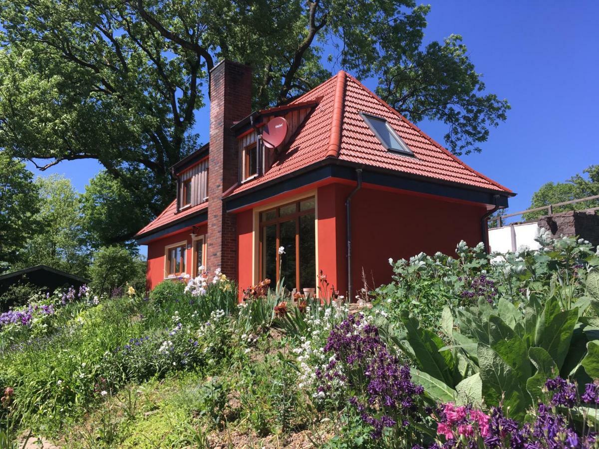 Kleine Villa Im Wilden Garten Gummersbach Extérieur photo