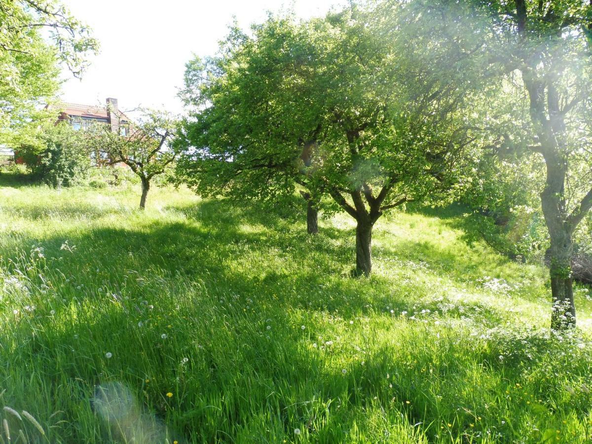 Kleine Villa Im Wilden Garten Gummersbach Extérieur photo
