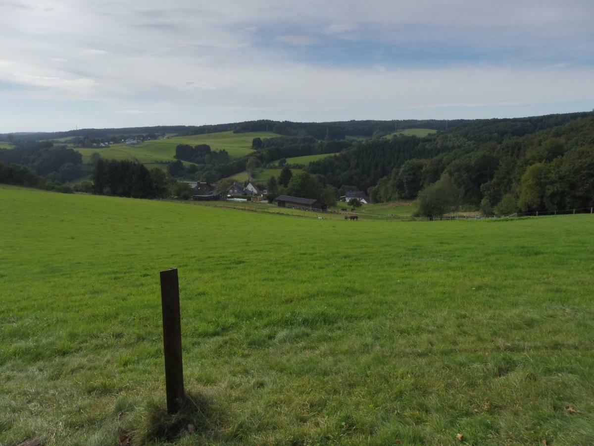Kleine Villa Im Wilden Garten Gummersbach Extérieur photo
