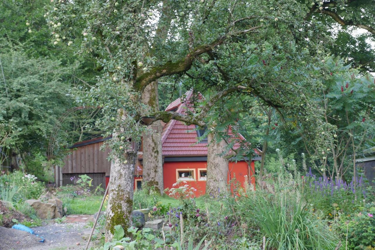 Kleine Villa Im Wilden Garten Gummersbach Extérieur photo